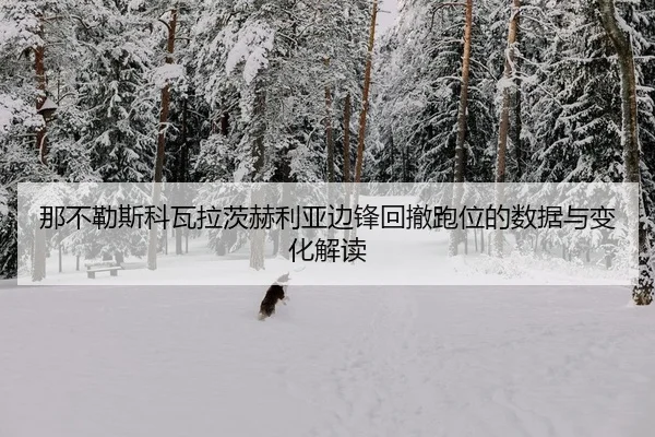 na-bu-le-si-ke-wa-la-ci-he-li-ya-bian-feng-hui-che-pao-wei-de-shu-ju-yu-bian-hua-jie-du-2-866.jpg